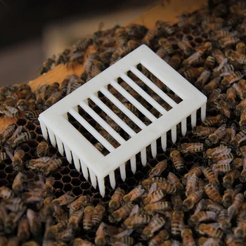 10vnt bitininkystės įranga, bičių motinėlių narvuose ląstelių kambaryje plastikinis narvas auginimo naujas bičių sistema reikmenys, bitininkystės reikmenys, įrankiai