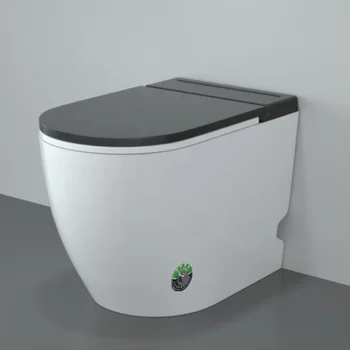 vonios kambaryje keraminės grindų sumontuotų tualetą be vandens bakas wc tankless nr. bakelis impulso tualetas su baterija